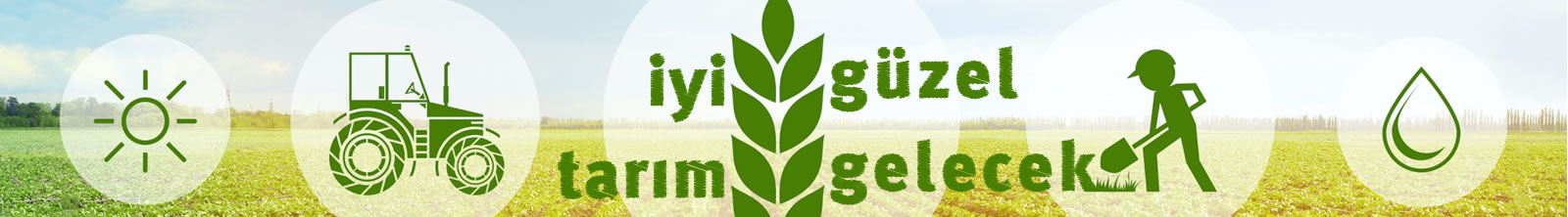 iyi tarım